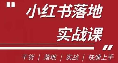 南悟·小红书医疗流量落地实战课，干货/落地/实战/快速上手【福利】 - 塑业网