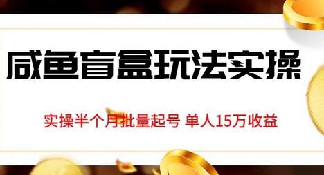 【独家揭秘】咸鱼盲盒如何做到半月批量起号，单人收益高达15万 - 塑业网