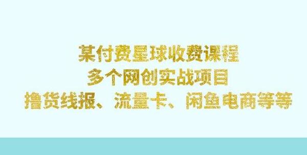 网创实战秘籍：付费星球课程带你解锁撸货线报、流量卡、闲鱼电商等赚钱项目 - 塑业网