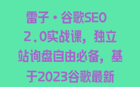 雷子·谷歌SEO 2.0实战课，独立站询盘自由必备，基于2023谷歌最新算法录制 - 塑业网