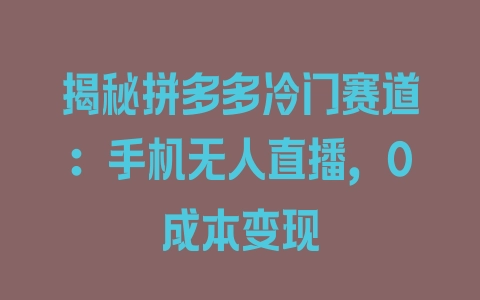 揭秘拼多多冷门赛道：手机无人直播，0成本变现 - 塑业网