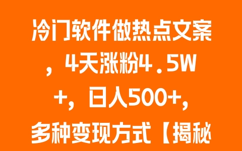 冷门软件做热点文案，4天涨粉4.5W+，日入500+，多种变现方式【揭秘】 - 塑业网