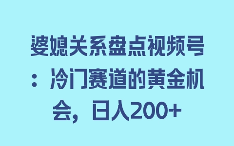 婆媳关系盘点视频号：冷门赛道的黄金机会，日入200+ - 塑业网