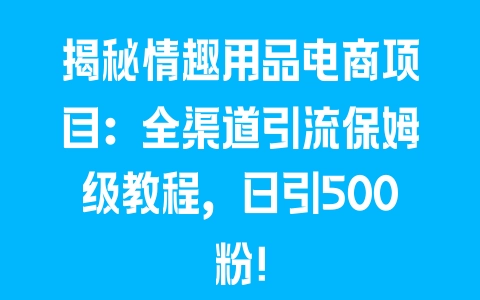 揭秘情趣用品电商项目：全渠道引流保姆级教程，日引500粉！ - 塑业网