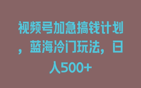 视频号加急搞钱计划，蓝海冷门玩法，日入500+ - 塑业网