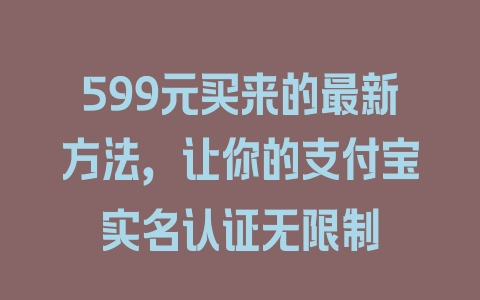 599元买来的最新方法，让你的支付宝实名认证无限制 - 塑业网