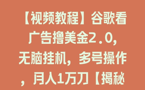 【视频教程】谷歌看广告撸美金2.0，无脑挂机，多号操作，月入1万刀【揭秘】 - 塑业网