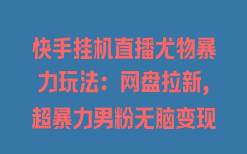 快手挂机直播尤物暴力玩法：网盘拉新，超暴力男粉无脑变现 - 塑业网