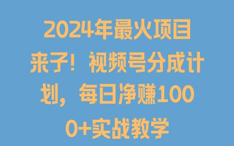 2024年最火项目来了！视频号分成计划，每日净赚1000+实战教学 - 塑业网