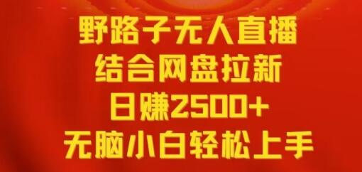 野路子无人直播结合网盘拉新，日赚2500+，小白无脑轻松上手【揭秘】 - 塑业网