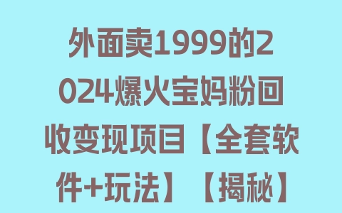 外面卖1999的2024爆火宝妈粉回收变现项目【全套软件+玩法】【揭秘】 - 塑业网