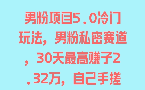 男粉项目5.0冷门玩法，男粉私密赛道，30天最高赚了2.32万，自己手搓一天轻松也有1000+【揭秘】 - 塑业网