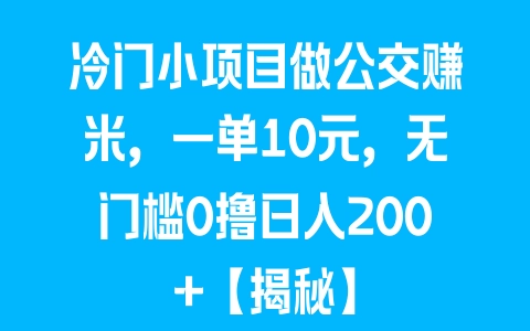 冷门小项目做公交赚米，一单10元，无门槛0撸日入200+【揭秘】 - 塑业网