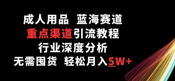 成人用品，蓝海赛道，重点渠道引流教程，行业深度分析，无需囤货，轻松月入5W+【揭秘】 - 塑业网