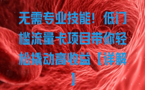 无需专业技能！低门槛流量卡项目带你轻松撬动高收益【详解】 - 塑业网