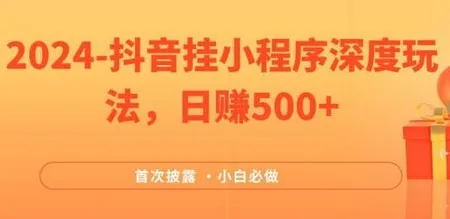 2024全网首次披露,抖音挂小程序深度玩法,日赚500+,简单、稳定,带渠道收入,小白必做【揭秘】 - 塑业网