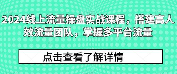 2024线上流量操盘实战课程，搭建高人效流量团队，掌握多平台流量 - 塑业网