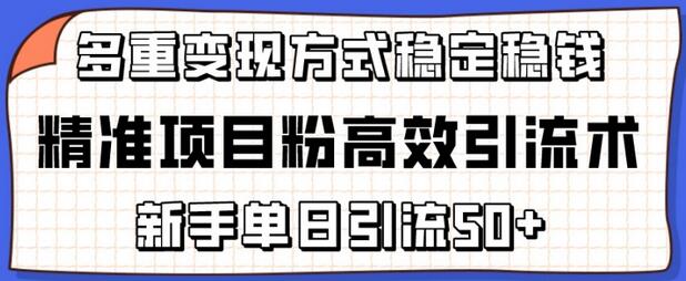 精准项目粉高效引流术，新手单日引流50+，多重变现方式稳定赚钱【揭秘】 - 塑业网