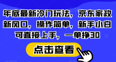 年底最新冷门玩法，京东家政新风口，操作简单，新手小白可直接上手，一单挣30【揭秘】 - 塑业网