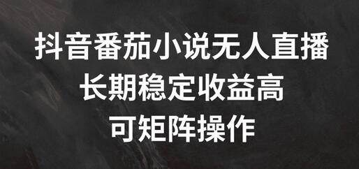 抖音番茄小说无人直播，长期稳定收益高，可矩阵操作【揭秘】 - 塑业网