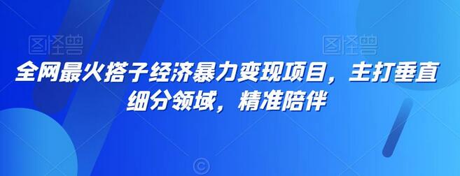 全网最火搭子经济暴力变现项目,主打垂直细分领域,精准陪伴【揭秘】