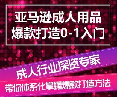 亚马逊成人用品爆款打造0-1入门，系统化讲解亚马逊成人用品爆款打造的流程，90天新品推广策略和步骤 - 塑业网