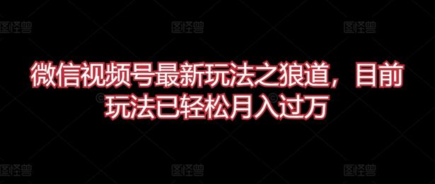 微信视频号最新玩法之狼道，目前玩法已轻松月入过万【揭秘】 - 塑业网